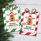 Reindeer Candy Cane printable cards that you can give away as gifts. They are also perfect for witnessing at Christmas time! They also make great party favors!