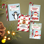 Candy Cane printable cards that you can give away as gifts. They are also perfect for witnessing at Christmas time! They also make great party favors!