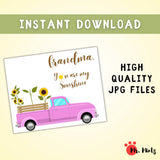 Printable Grandma sunflower handprint craft for a preschool or kindergarten Grandparents Day activity, featuring a pink pickup truck, bright yellow sunflowers, and a flower stem where children ages 3–7 add a painted handprint, creating an easy teacher-guided classroom keepsake students can personalize and take home as a special gift for Grandma.