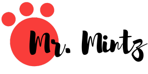 Mr. Mintz logo — family-run creative brand offering printable crafts and DIY activities for kids and teachers.